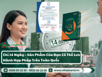 Dịch Vụ Công Bố Hợp Chuẩn Sản Phẩm Trọn Gói Ở TP.HCM - Quy Trình, Chi Phí & Lợi Ích
