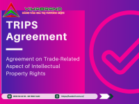 Hiệp định TRIPS: Tìm Hiểu Toàn Diện và Tác Động Đối Với Pháp Luật Việt Nam