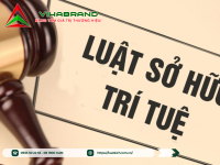 Luật Sở Hữu Trí Tuệ – Tổng Quan và Ứng Dụng trong Thực Tiễn