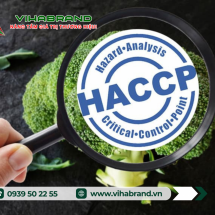 Quy Trình Đăng Ký Chứng Nhận Cơ Sở Đủ Điều Kiện An Toàn Thực Phẩm