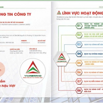 THÔNG BÁO VỀ VIỆC THỰC HIỆN CẤP/XÁC NHẬN BẢN SAO HỒ SƠ, TÀI LIỆU ĐƠN VÀ VĂN BẰNG BẢO HỘ SỞ HỮU CÔNG NGHIỆP DƯỚI DẠNG ĐIỆN TỬ