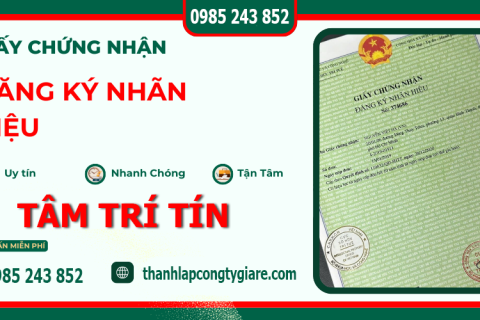 Dịch Vụ Đăng Ký Nhãn Hiệu Uy Tín Tại Thanh Hóa, Hà Nội