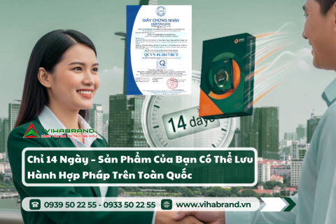 Dịch Vụ Công Bố Hợp Chuẩn Sản Phẩm Trọn Gói Ở TP.HCM - Quy Trình, Chi Phí & Lợi Ích