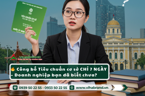 Dịch vụ công bố tiêu chuẩn cơ sở tại TP.HCM uy tín, nhanh chóng và đúng pháp lý