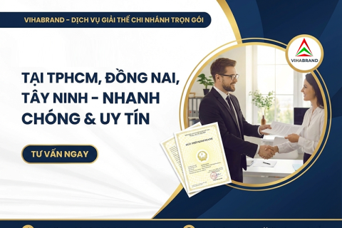 Dịch Vụ Giải Thể Chi Nhánh Trọn Gói Tại Miền Đông Nam Bộ