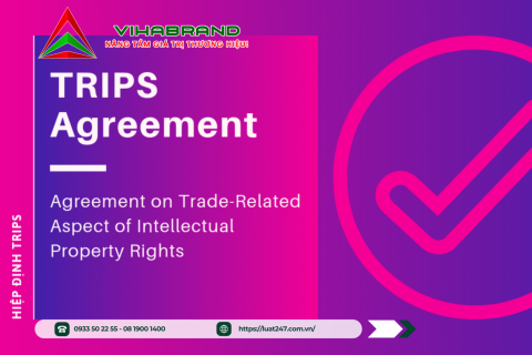 Hiệp định TRIPS: Tìm Hiểu Toàn Diện và Tác Động Đối Với Pháp Luật Việt Nam