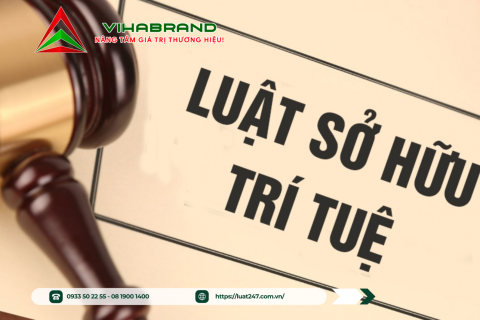 Luật Sở Hữu Trí Tuệ – Tổng Quan và Ứng Dụng trong Thực Tiễn