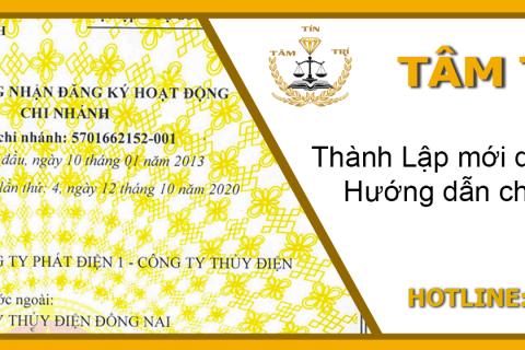 Thành lập mới công ty, doanh nghiệp: Những lưu ý quan trọng để tránh rủi ro