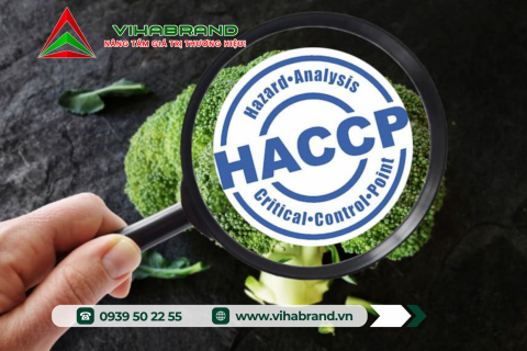 Quy Trình Đăng Ký Chứng Nhận Cơ Sở Đủ Điều Kiện An Toàn Thực Phẩm