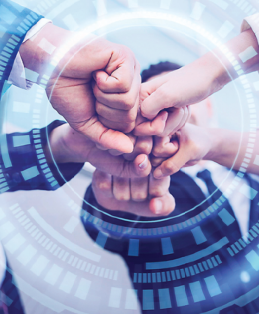 VIHABRAND CO.,LTD LUÔN ĐỒNG HÀNH CÙNG DOANH NGHIỆP